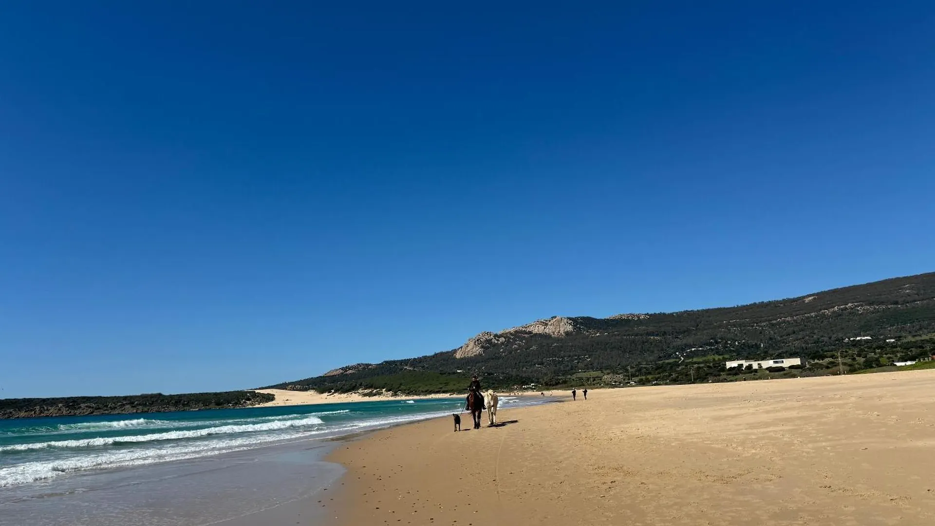 Holiday home Son De Mar Villa Bolonia
